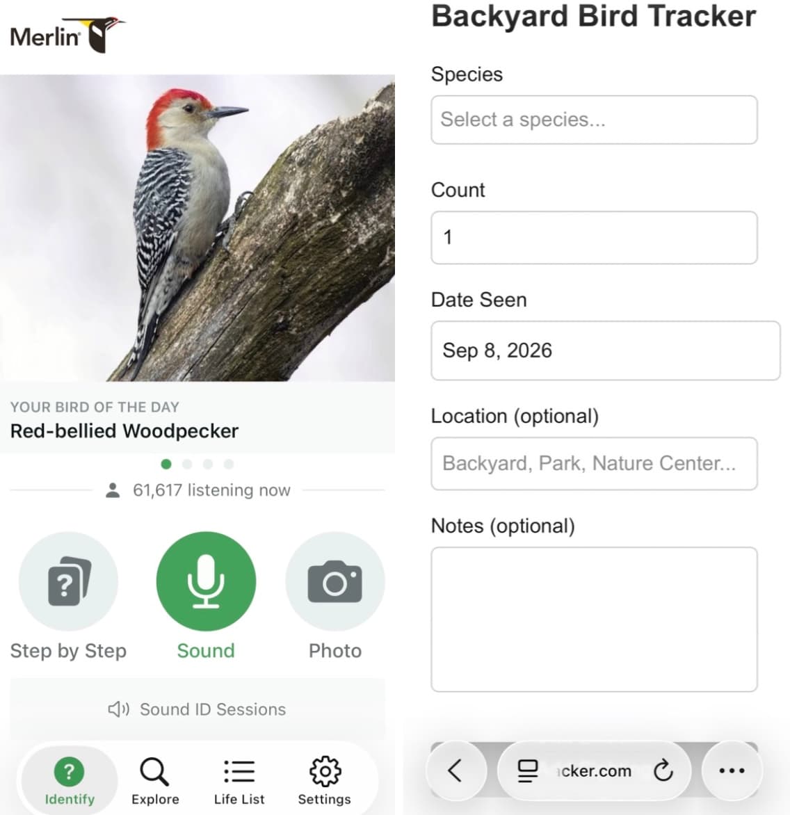 Merlin and BBT apps